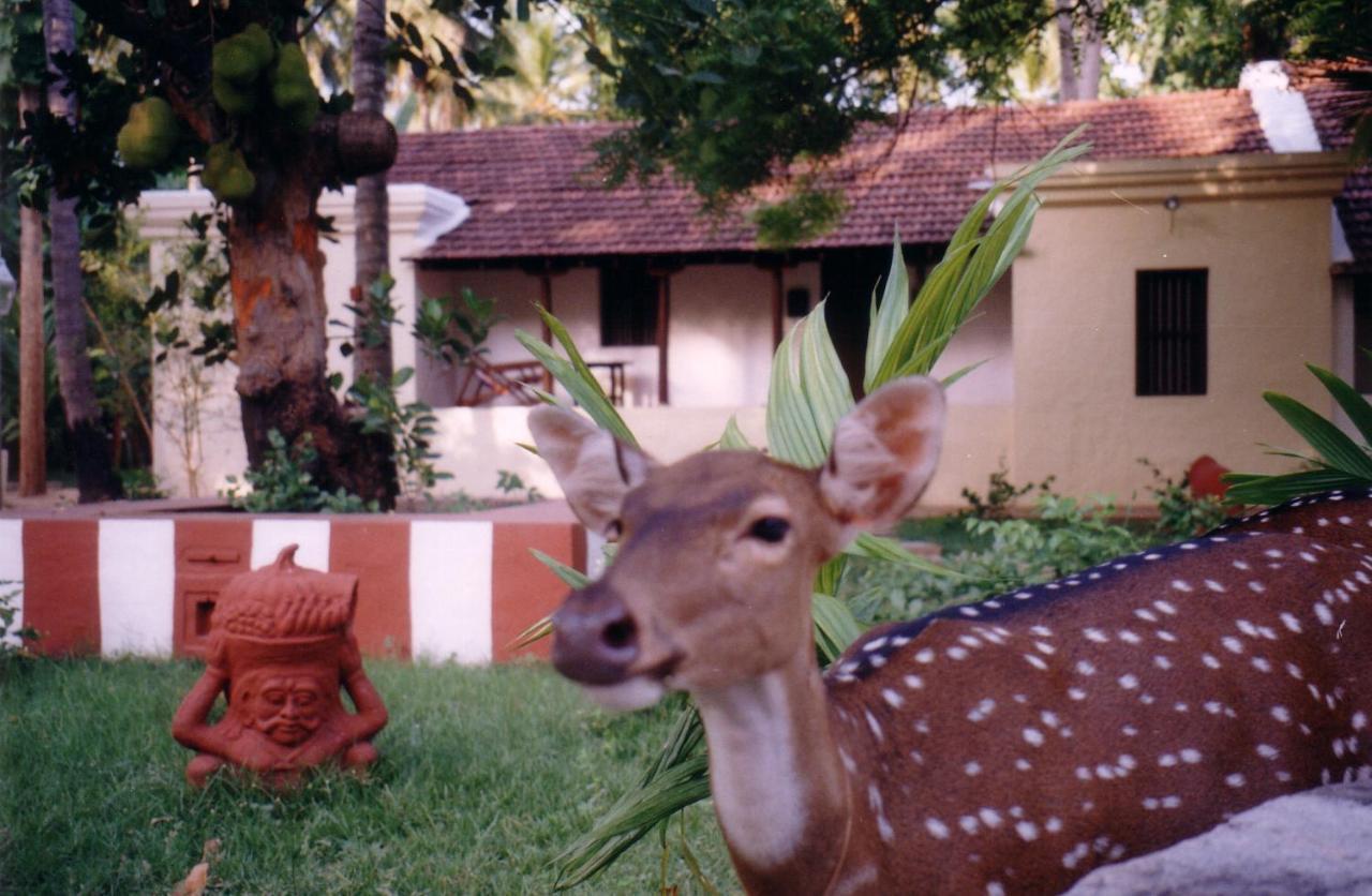 Indeco Hotels Swamimalai Kumbakonam Dış mekan fotoğraf